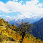 Shaily Peak Tourism in Shimla, Himachal