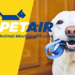 Petair Tiertransport | Internationaler Partner | 40 Jahre Erfahrung